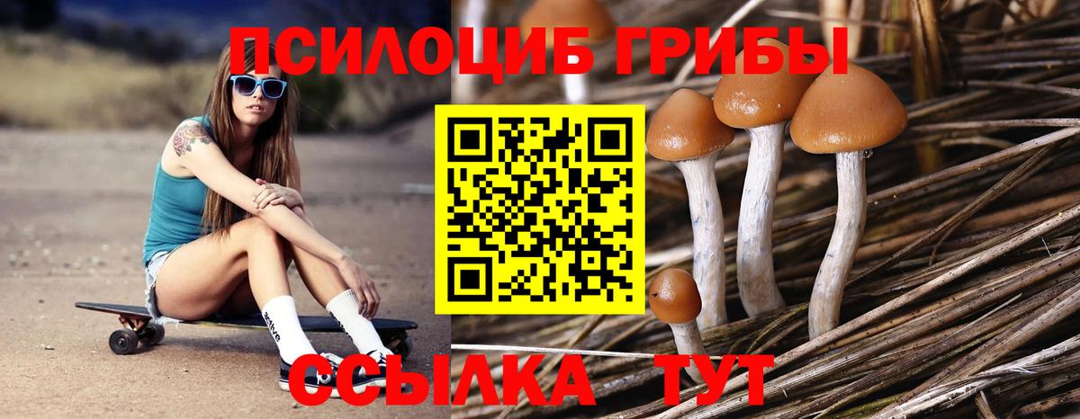 Галлюциногенные грибы Cubensis  Вход с VPN  наркота  Галлюциногенные грибы Psilocybine cubensis  Уссурийск 